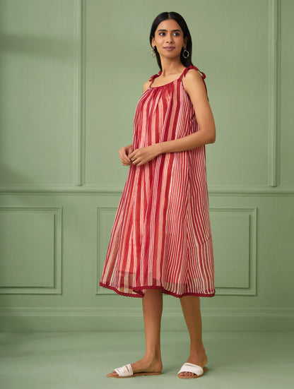 Striped Organza Dress